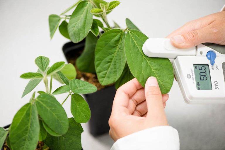 Chemical biostimulants from Plant Impact and Croda