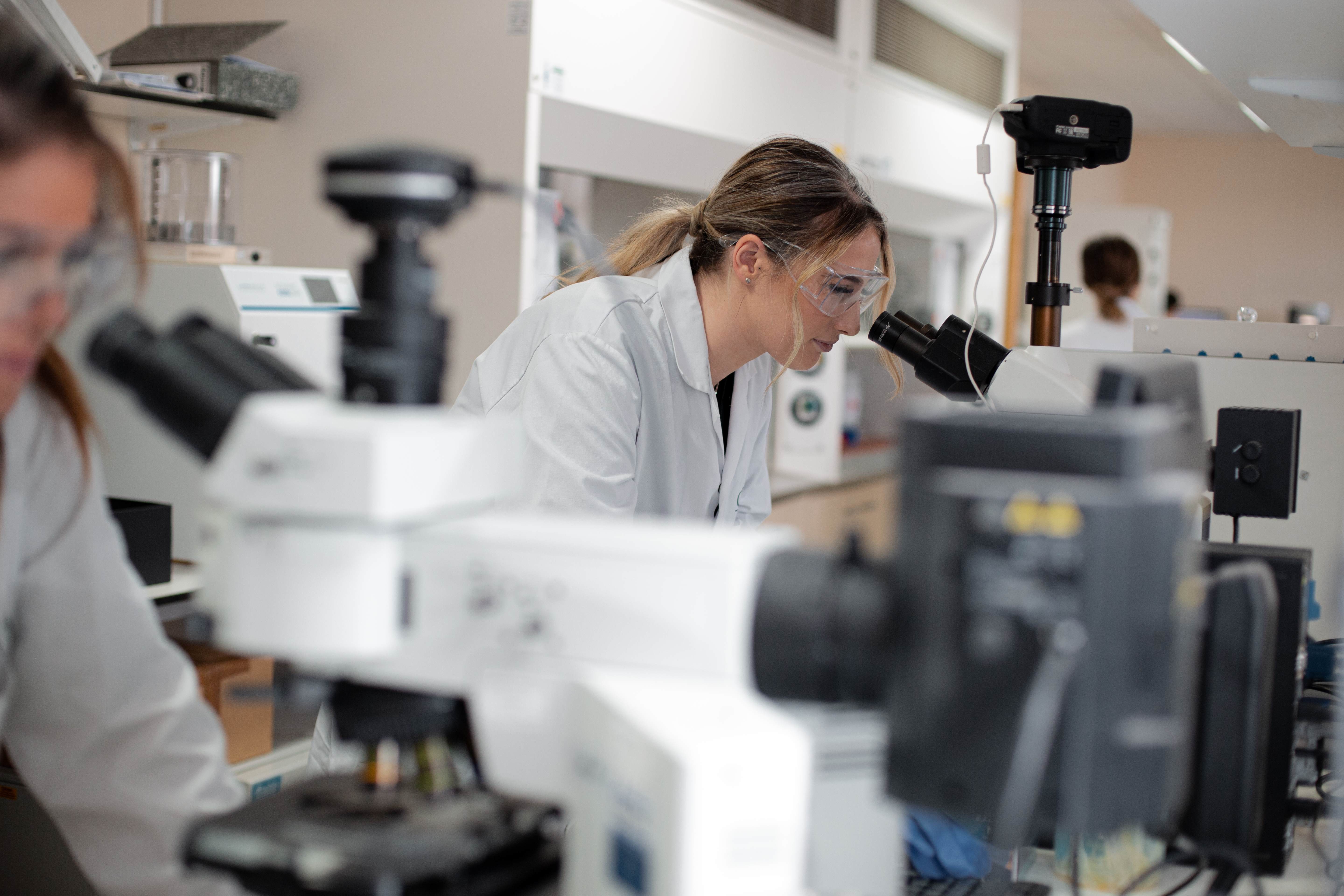 Chemists working in laboratory