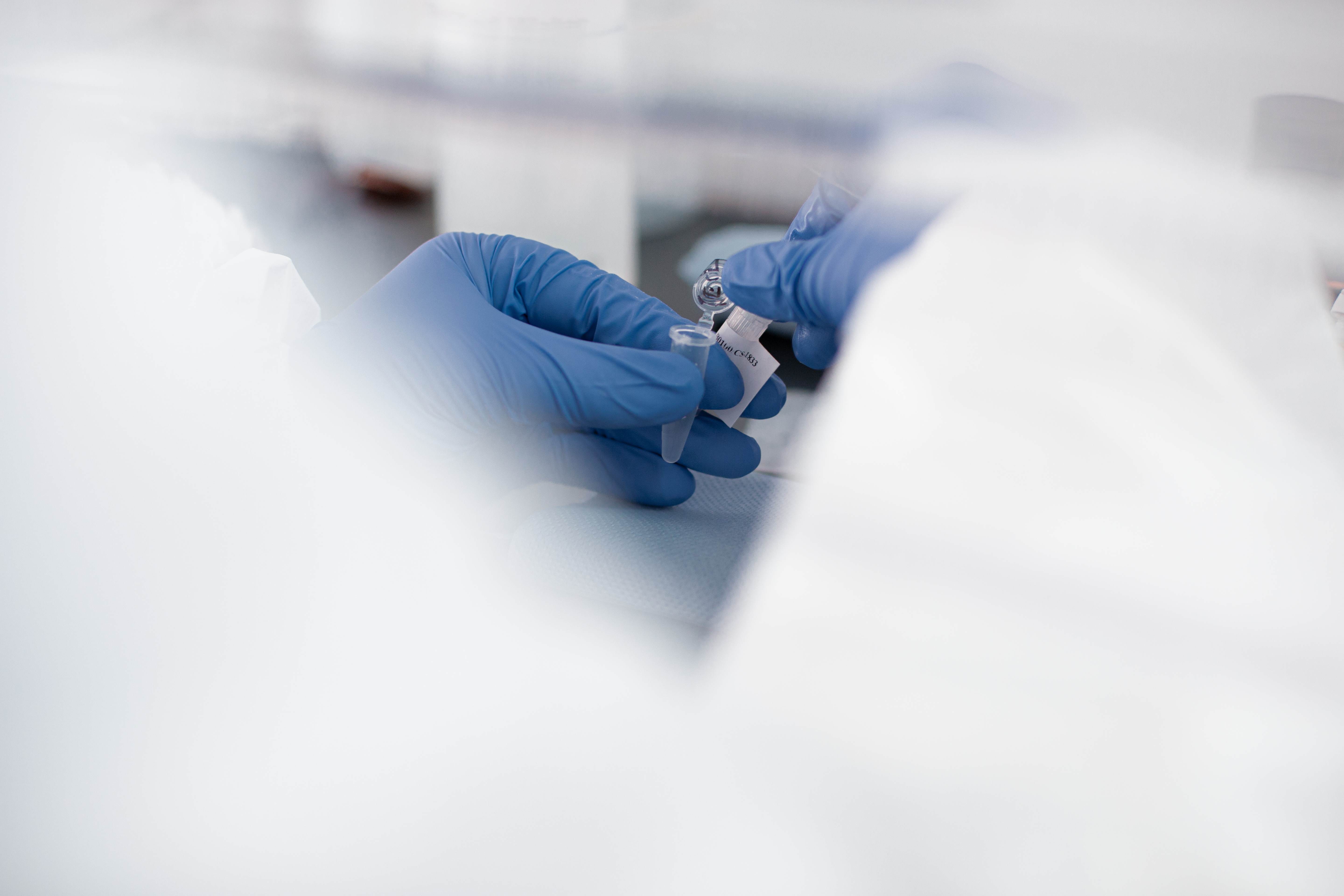 scientist hands working with test tube