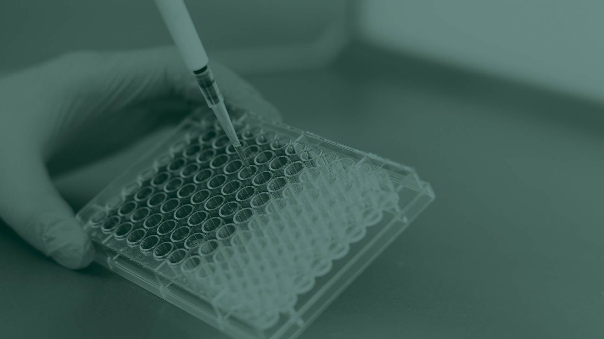 green overlayed image of laboratory experiment