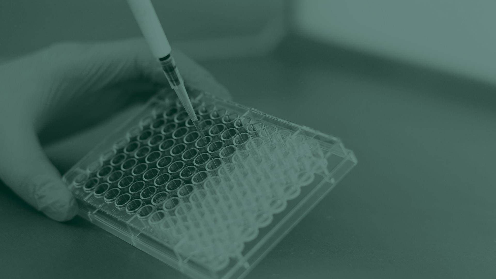 green overlayed image of laboratory experiment