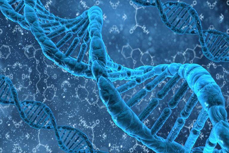 Nucleic acid