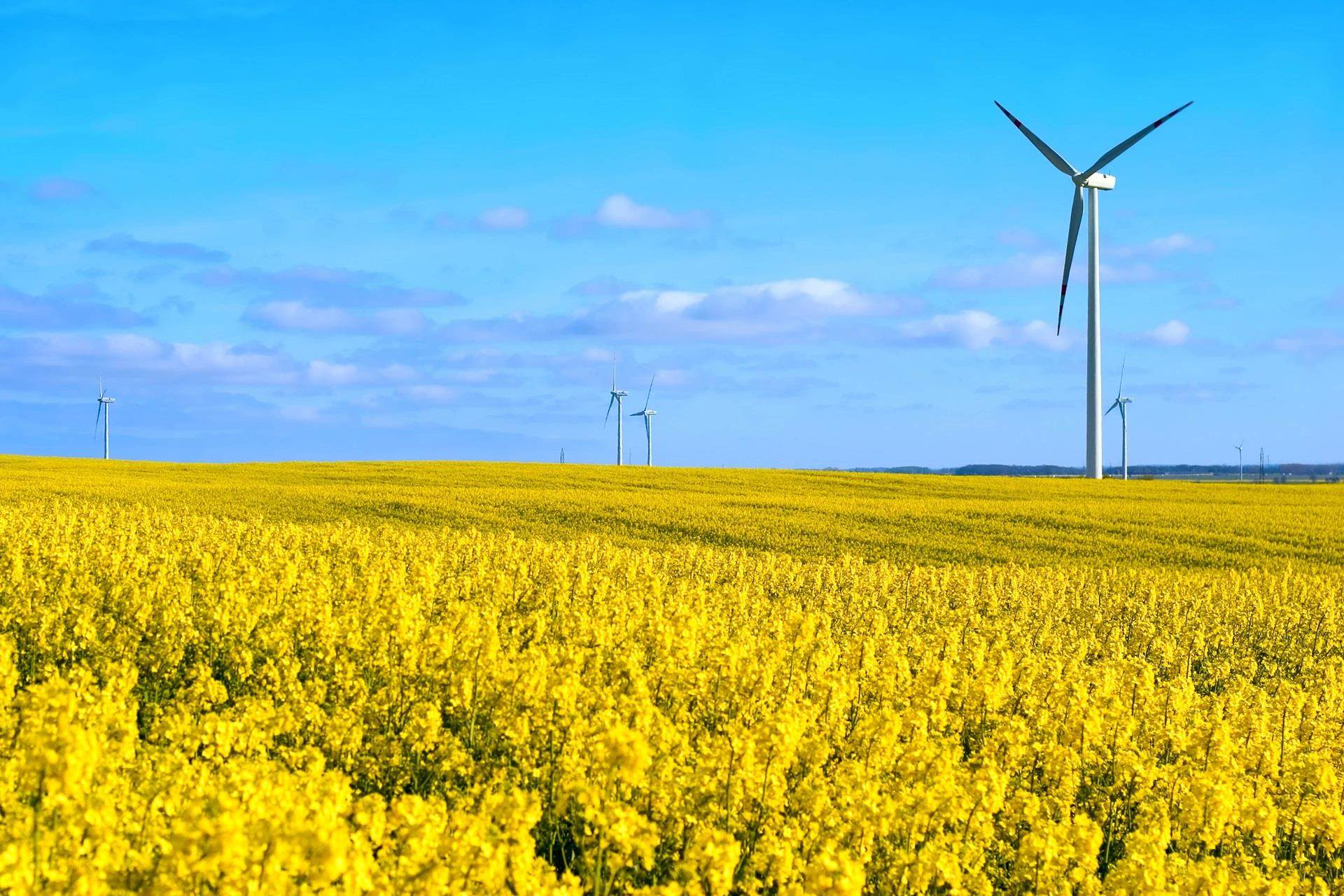 クローダ 持続可能性