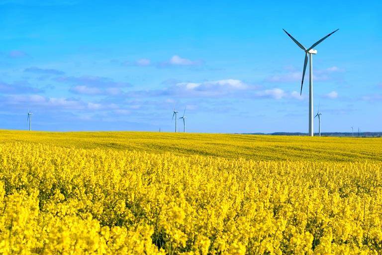 クローダ 持続可能性