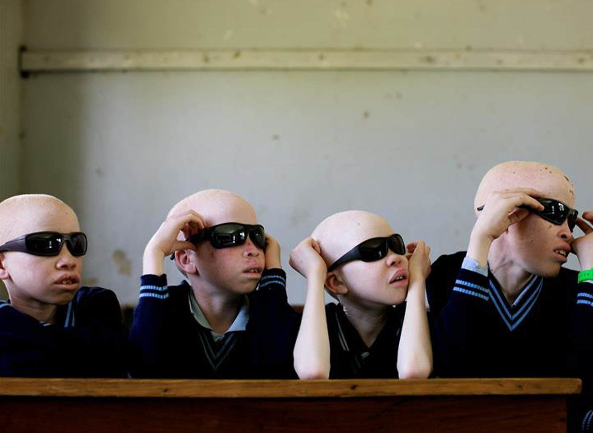 化学実験室、ワクチン、森林、農業を含む一連の六角形のイメージは、クロダ慈善財団を表している。