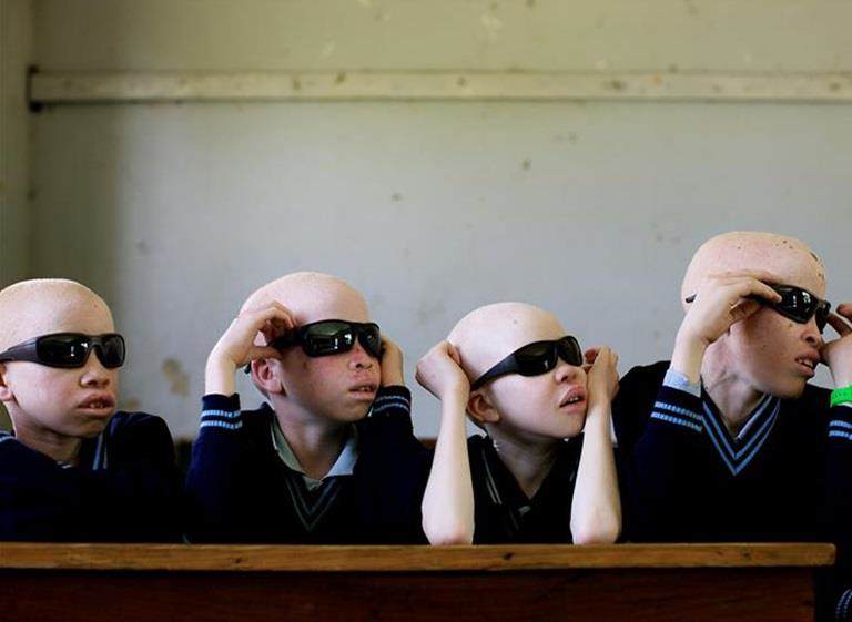 Series of hexagonal images including chemistry lab, vaccines, forests, farming to represent Croda charitable Foundation