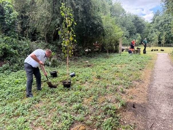 planting trees