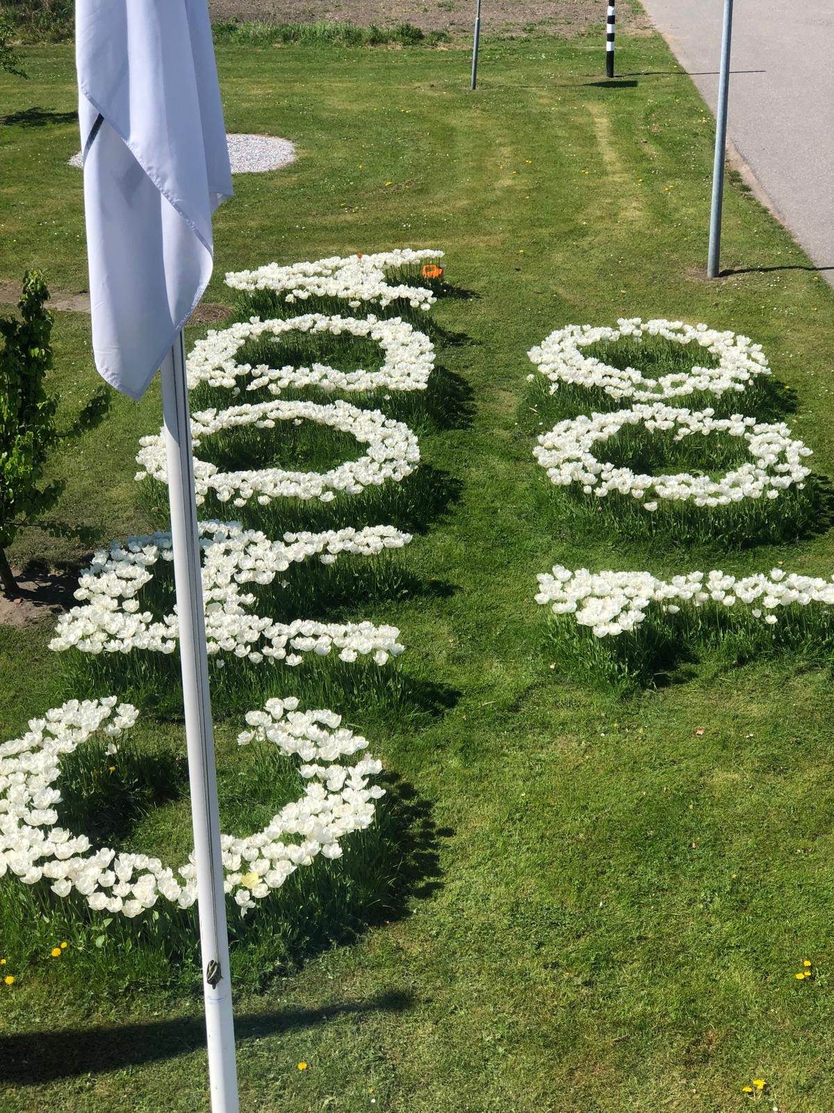 Croda 100 made from tulips