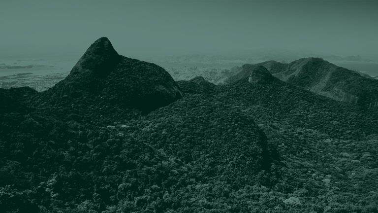 Green tone landscape image of trees on a mountain