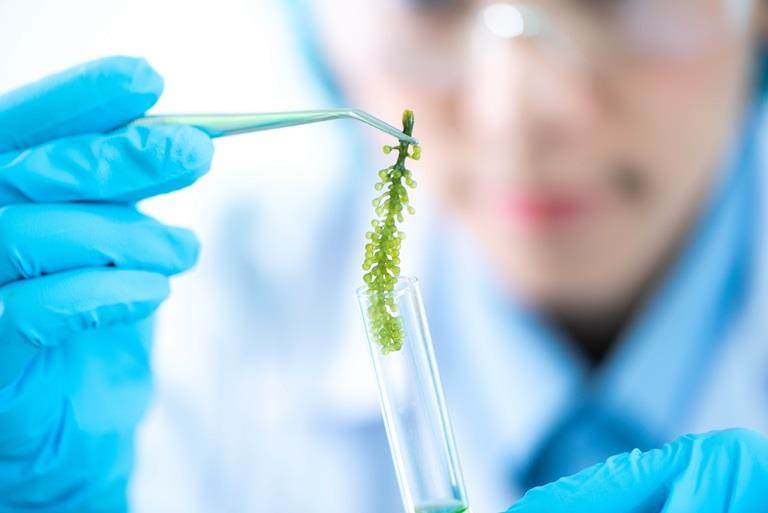 scientist exploring bio based