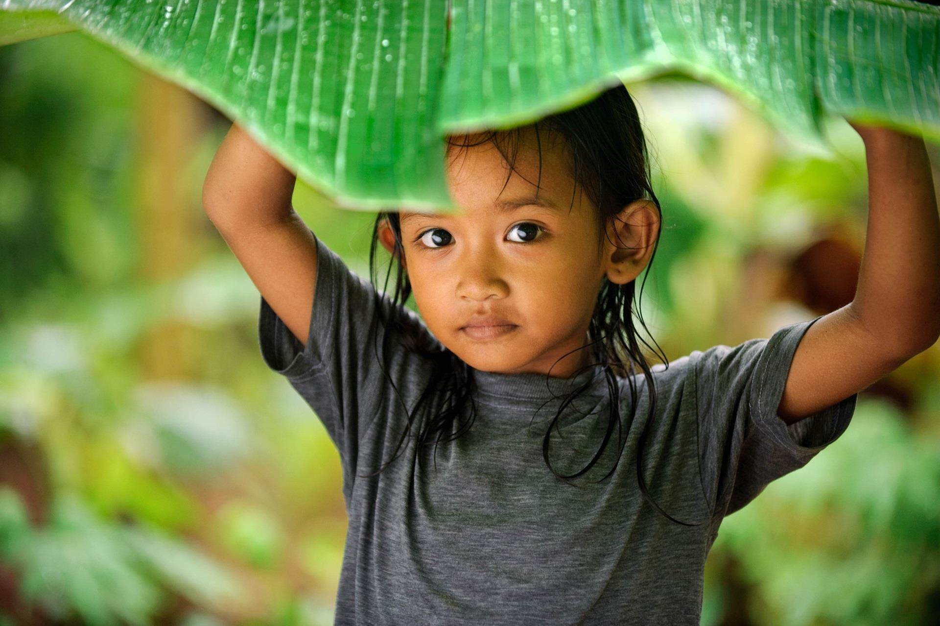 indonesian child in green area