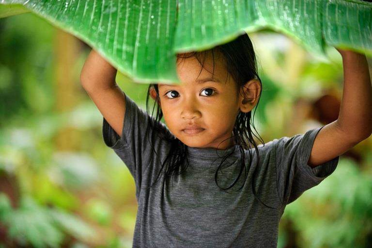 indonesian child in green area