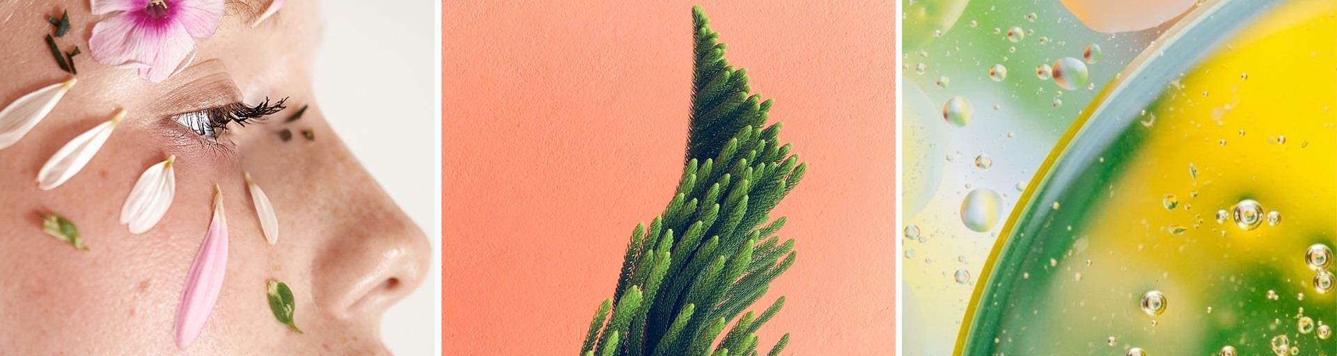 Alban muller website banner with three images representing their botanical expertise