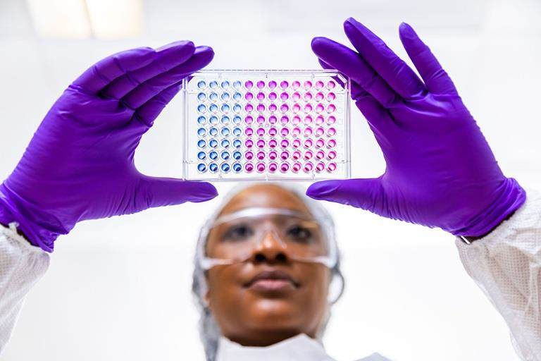 Virodex