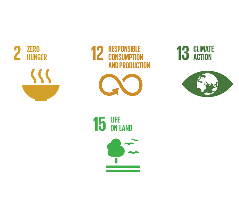 土地ポジティブSDGS