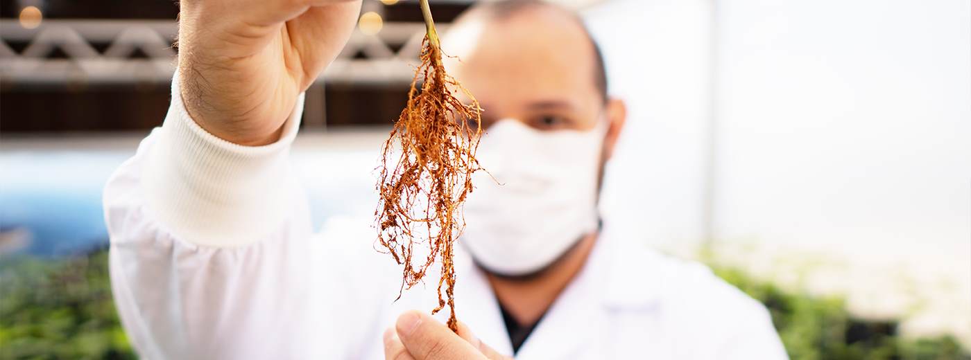 Sustainability impact report header