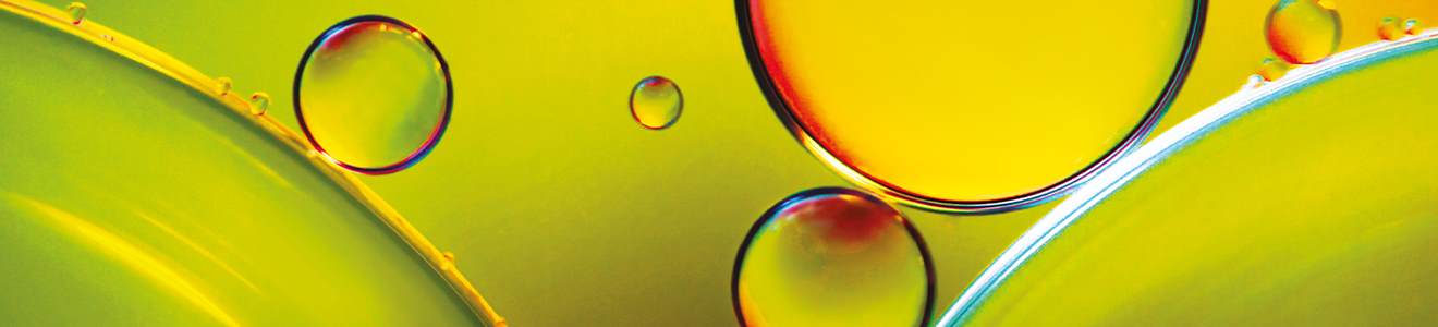 Image to represent strong fundamentals