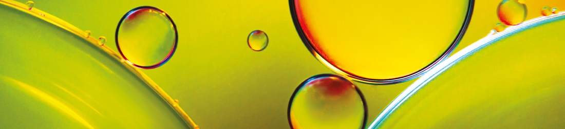 Image to represent strong fundamentals