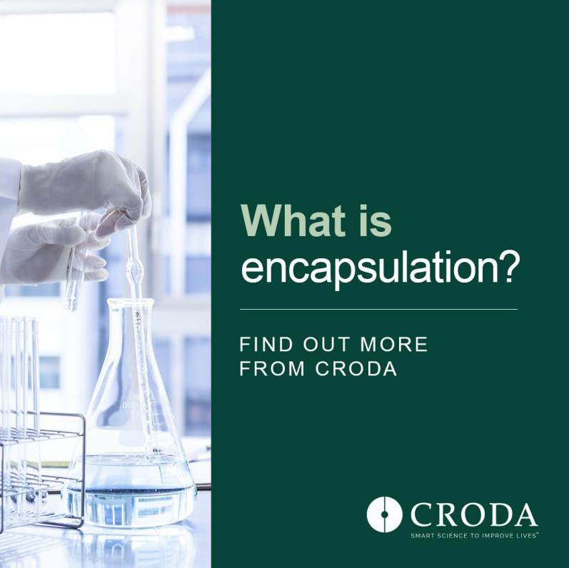 What is encapsulation image