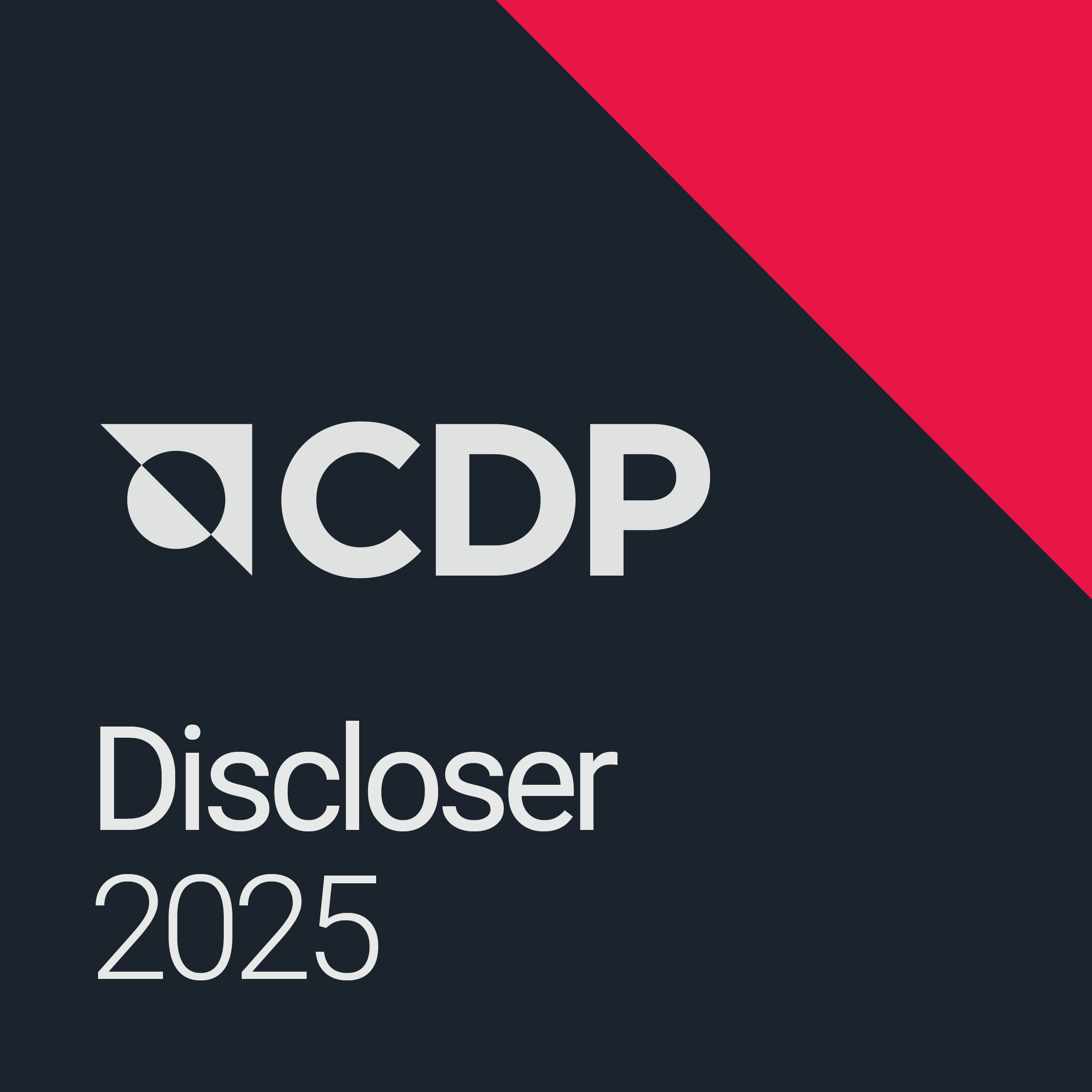 CDP discloser 2024 rating and framework