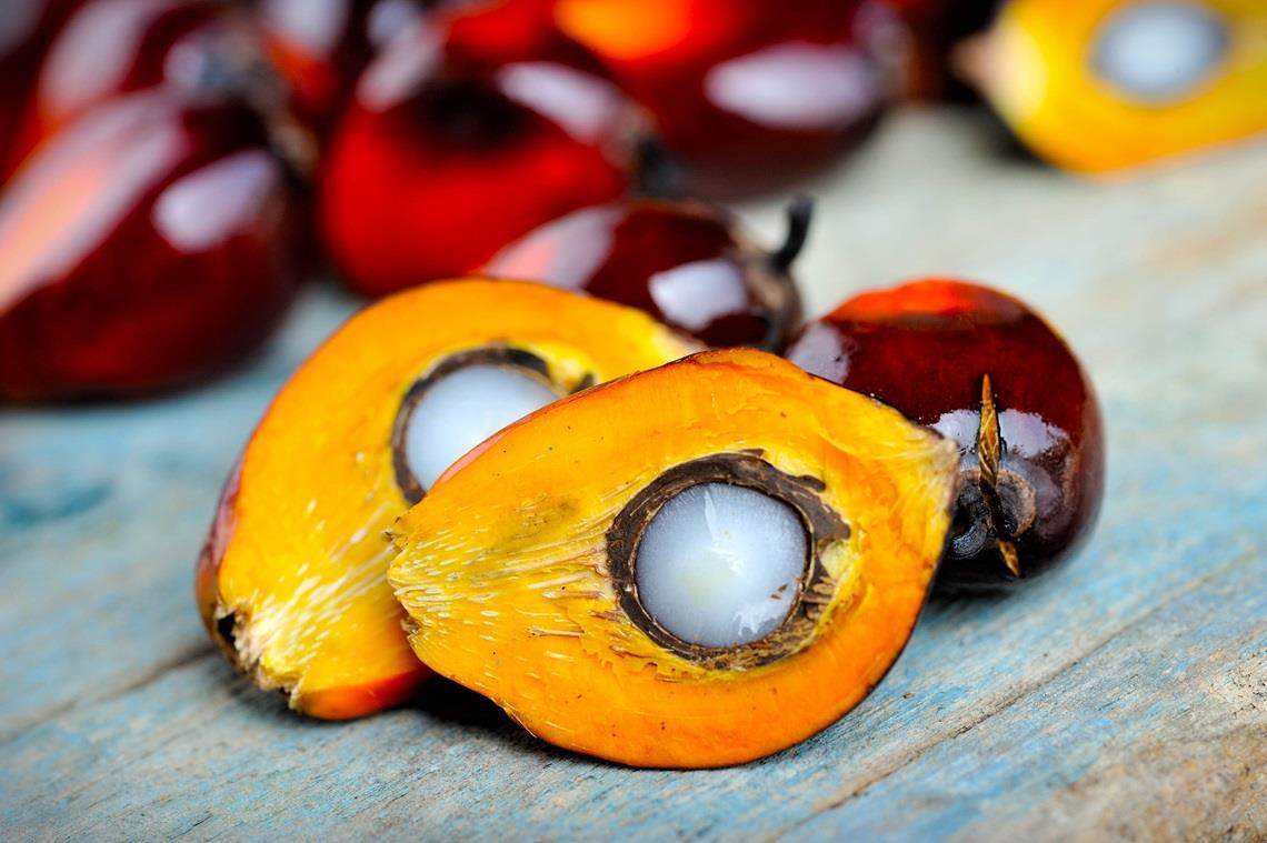 The fruit of a palm tree, from a sustainable source, sliced in half