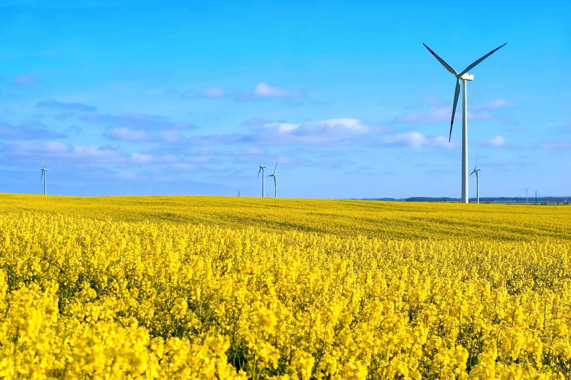 Climate positive