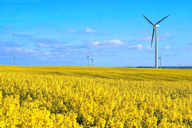 Climate positive