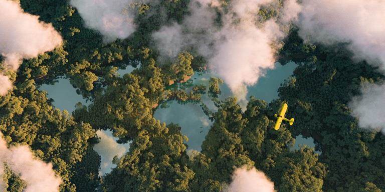 sustainable clouds and trees