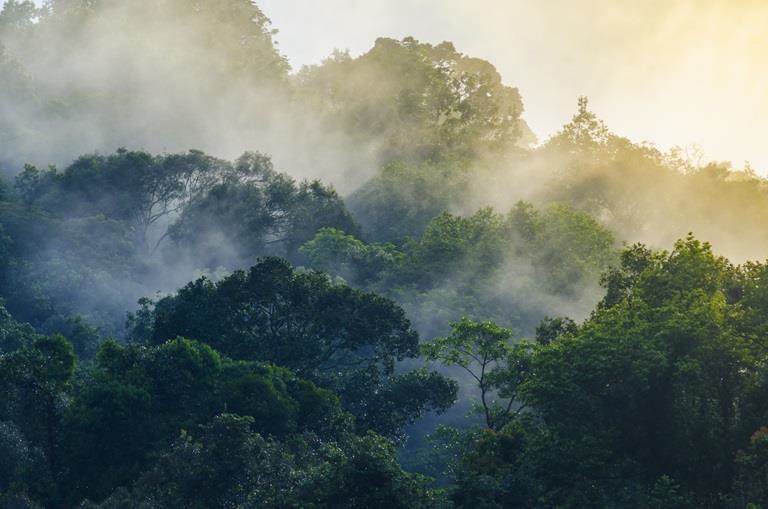 Sustainability